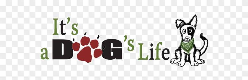 Your Premier Dog Kennel In Petaluma, Ca, Serving The - It's A Dog's Life #760104