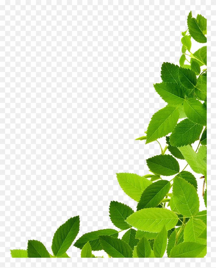 Download Free Transparent Png Image - Download Free Transparent Png Image #761071