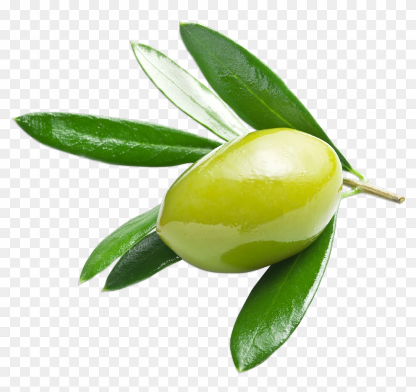 Olive #761108