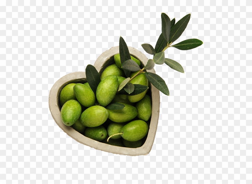 Cardiovascular Disease - Olive #761125