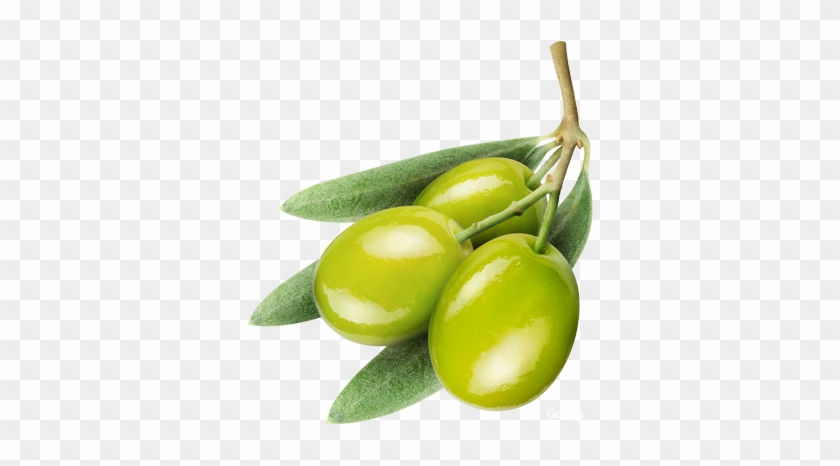 Olive Png #761145