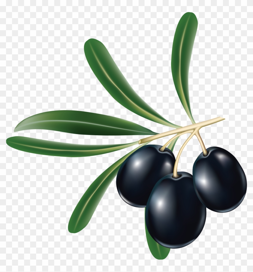 Black Olive Png #761185