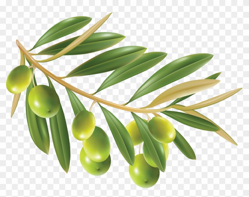 Photo Olives Png Image - Photo Olives Png Image #761196