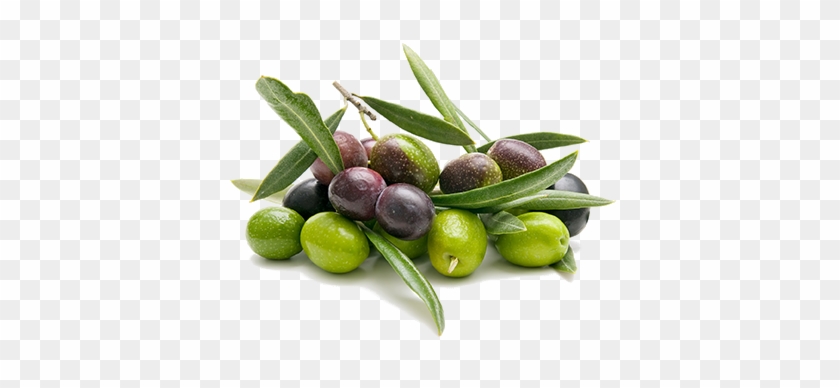 Olivas - Lchq: Lågkolhydratkost Av Högsta Kvalitet [book] #761223