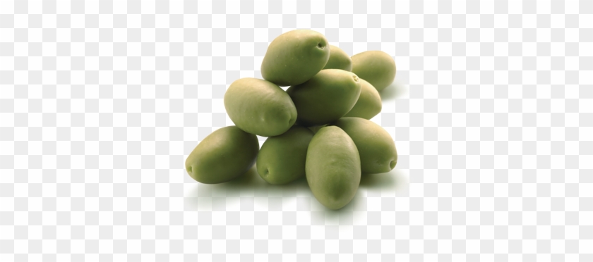 Olives Retail Line - Olive #761505