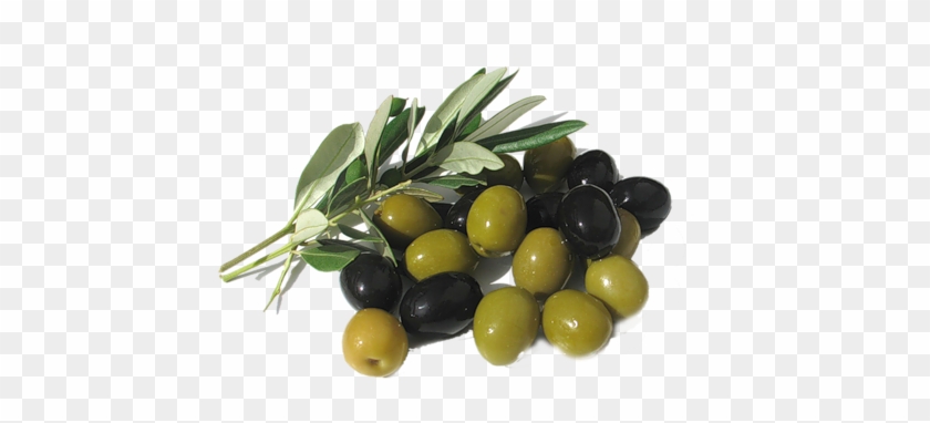 0 8c484 1bf5a529 L - Olives Transparent #761563