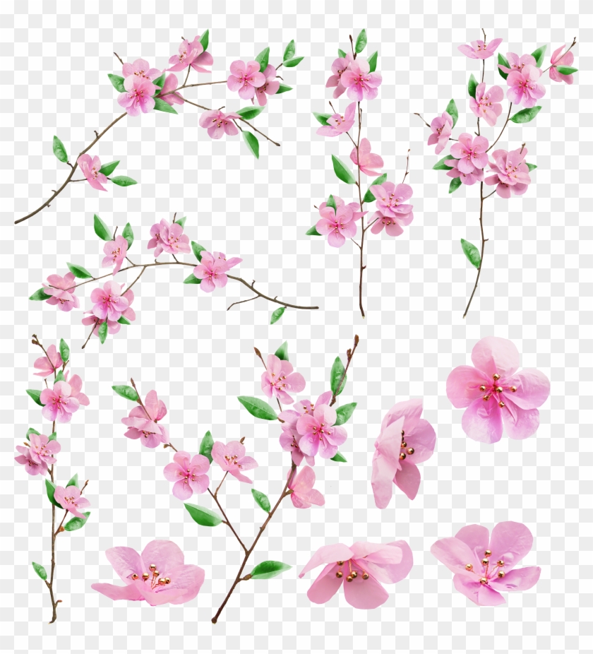 Cherry Blossom #762272