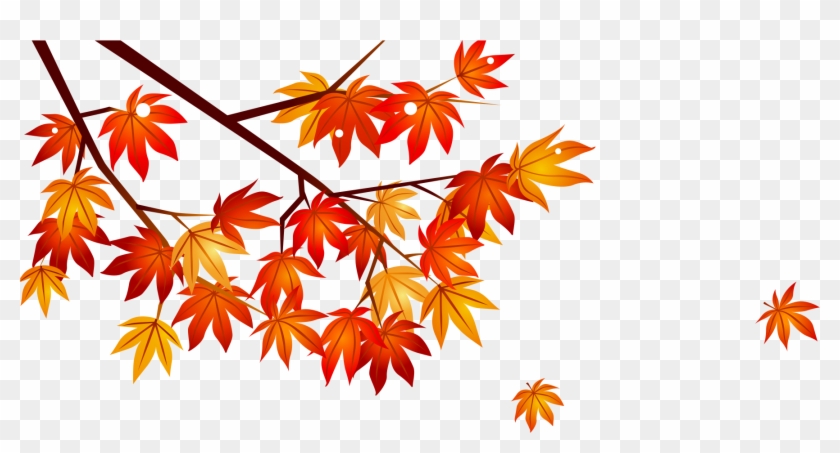 Maple Leaf Clipart Watermelon - Office #762859