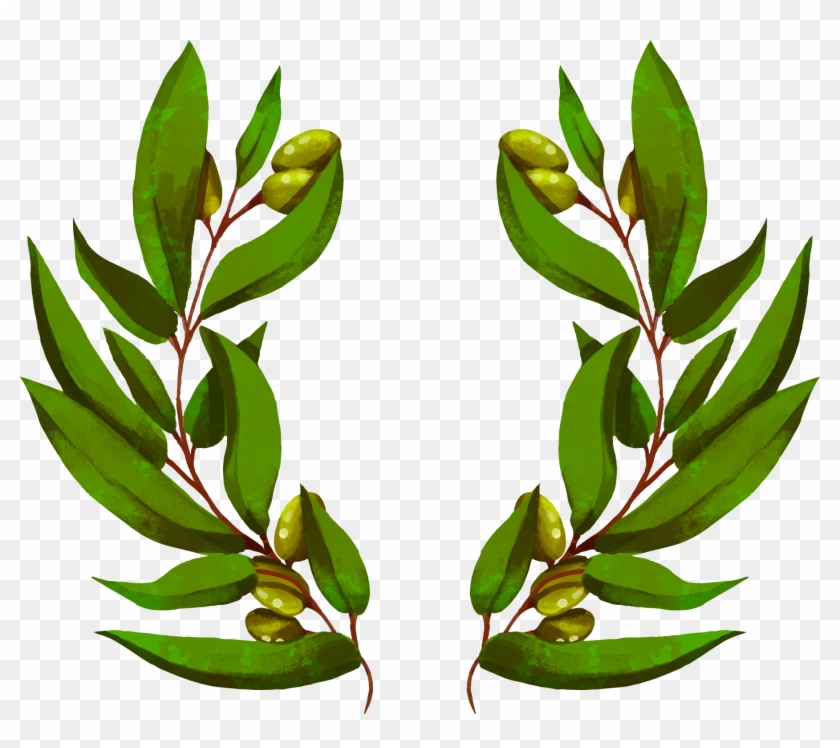 Euclídea Del Vector Ramo De Flores De Papel Tapiz - Couronne D Olivier Png #762944