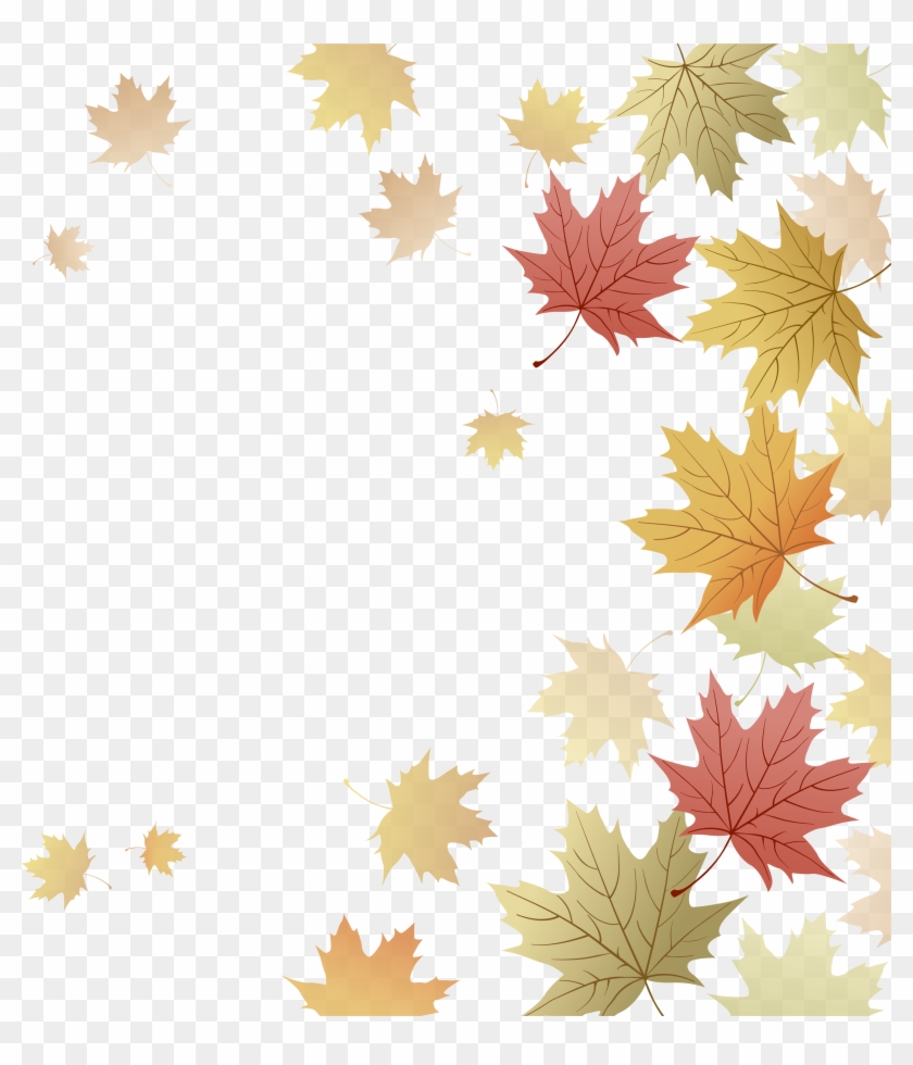 Japanese Maple Red Maple Maple Leaf Autumn - Japanese Maple Red Maple Maple Leaf Autumn #763515