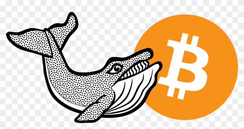 Whale - Digital Currency Investments: The Top 10 Digital Currencies #764109