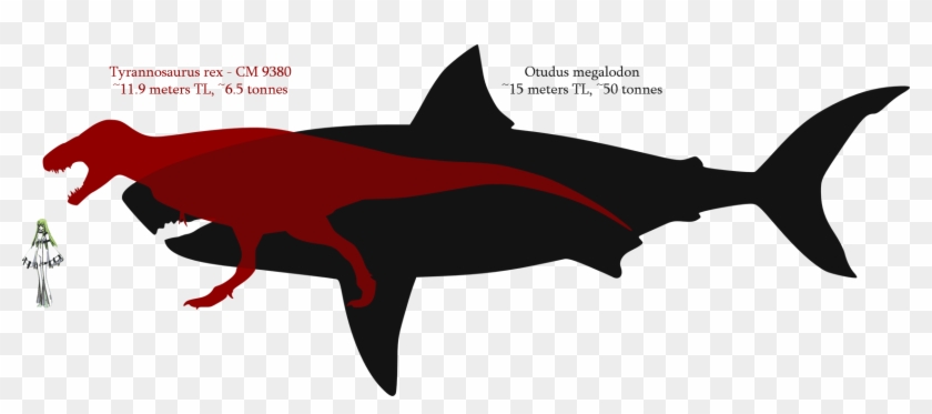 Megalodon Size Comparison - Megalodon Vs T Rex Size #764133