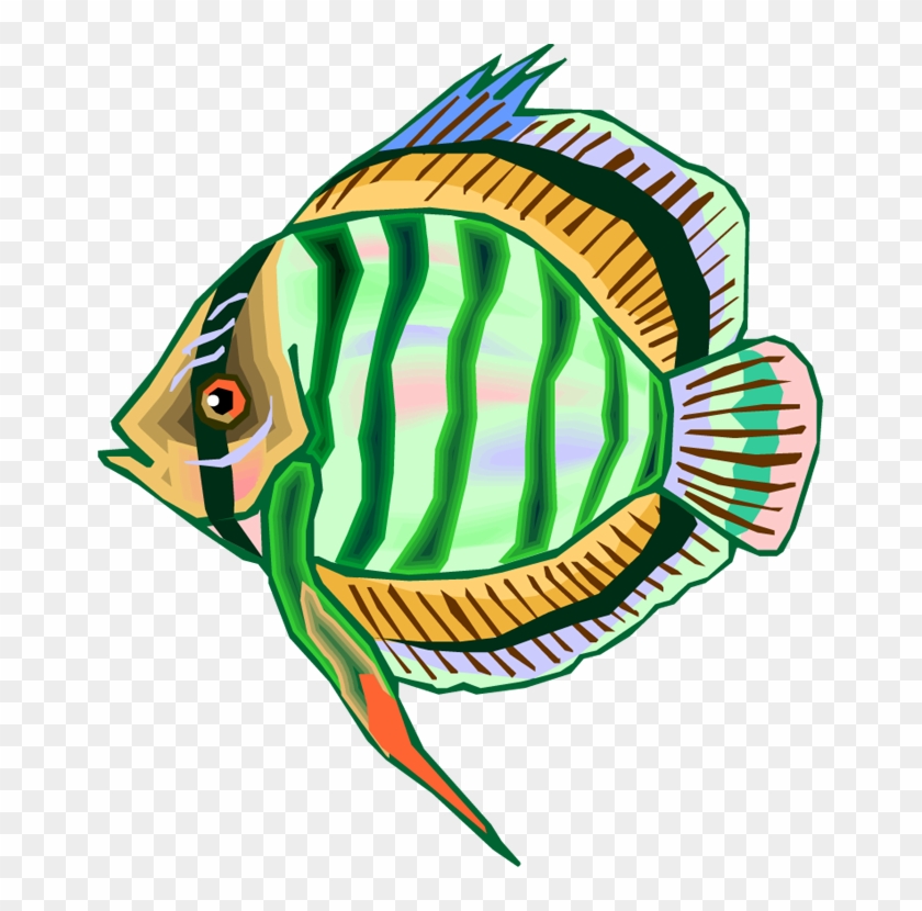 Pomfret Fish Pampus Argenteus Clip Art - Pomfret Fish Pampus Argenteus Clip Art #764702