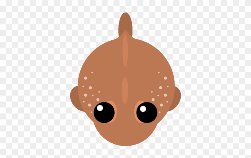 Mudskipper - Illustration #765066