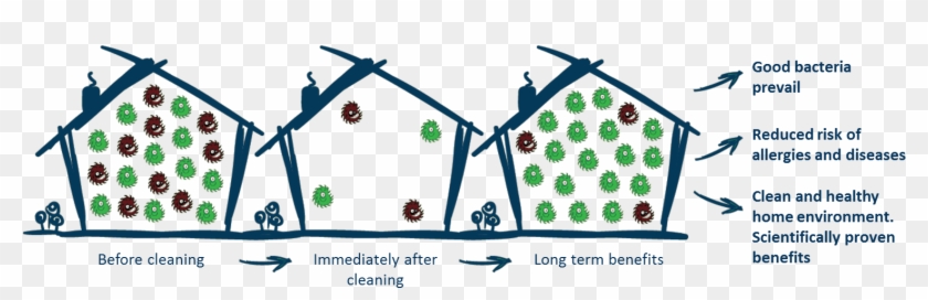 Regular Use Of Natural Cleaning Products With Probiotics, - Regular Use Of Natural Cleaning Products With Probiotics, #765752