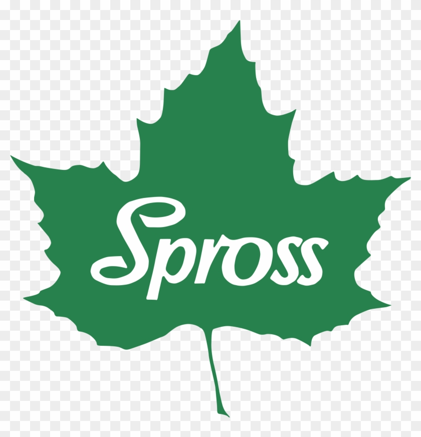 Png Transparent - Spross #766133