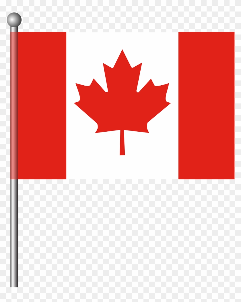 O Has Moved From Another State Has Put At Least As - Canadian Flag Transparent Background #766531