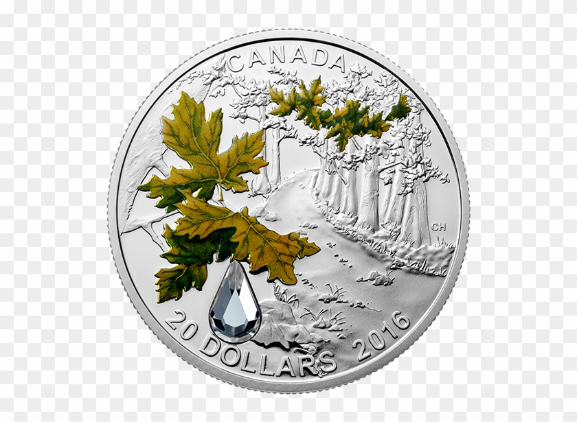 Jewel Of The Rain - Coin #766793