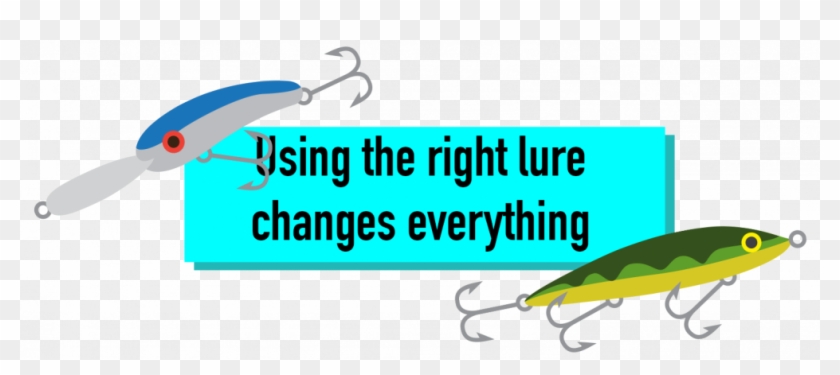 There Are Numerous Different Types Of Lures Of Each - My Mentor #767116