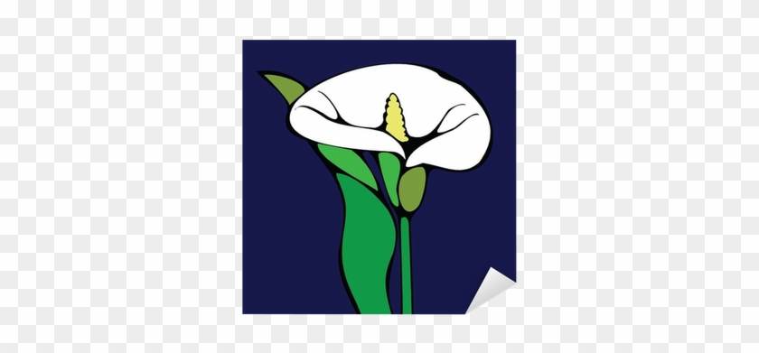 Calla Lily Coloring Pages #767739