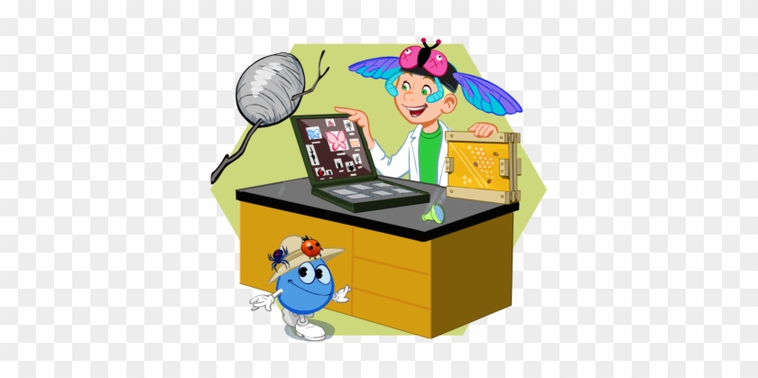 4 - 11 Insectes - Cartoon #767814