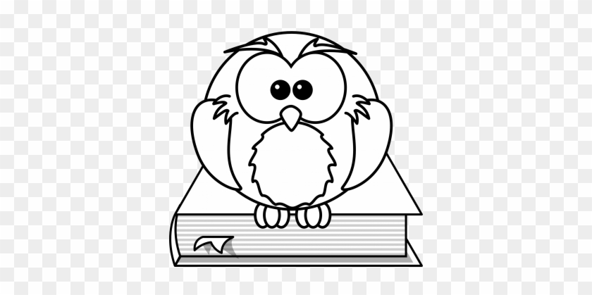 Coloring Book Pages To Print Free Printable For Adults - High Resolution Coloring Book #768254