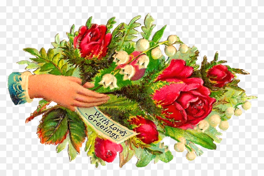 Garden Roses #768753