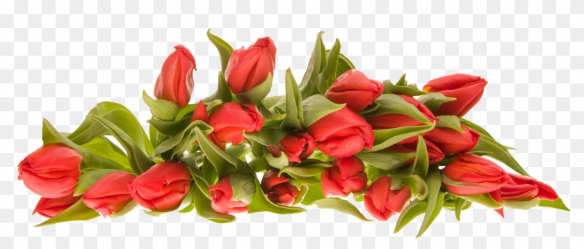 Flowers Clipart Png File Png Images - Flowers Clipart Png File Png Images #768878