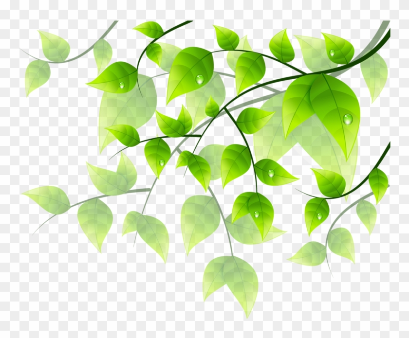 Flower Green Floral Design Clip Art - Flower Green Floral Design Clip Art #768986
