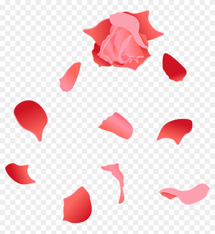 Beach Rose Petal Euclidean Vector - Petalas Vetor Png #769036