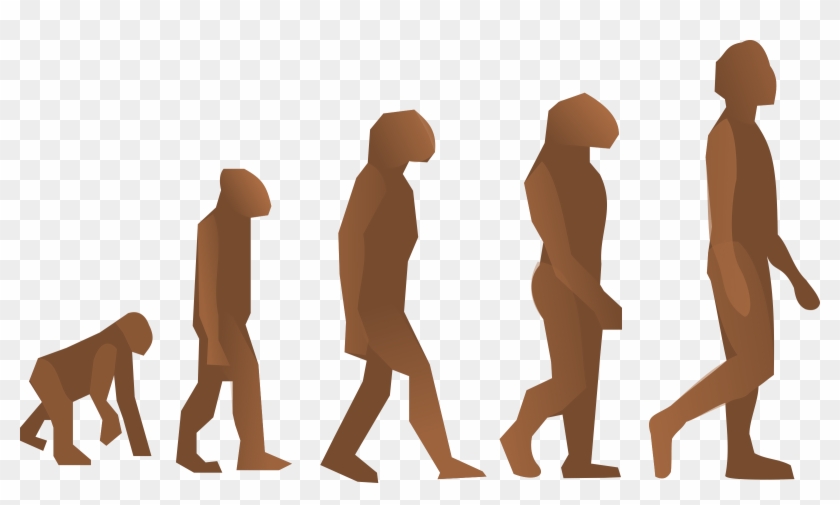 Evolution Steps Clip Art At Clker - Does It Mean To Be Human #139374