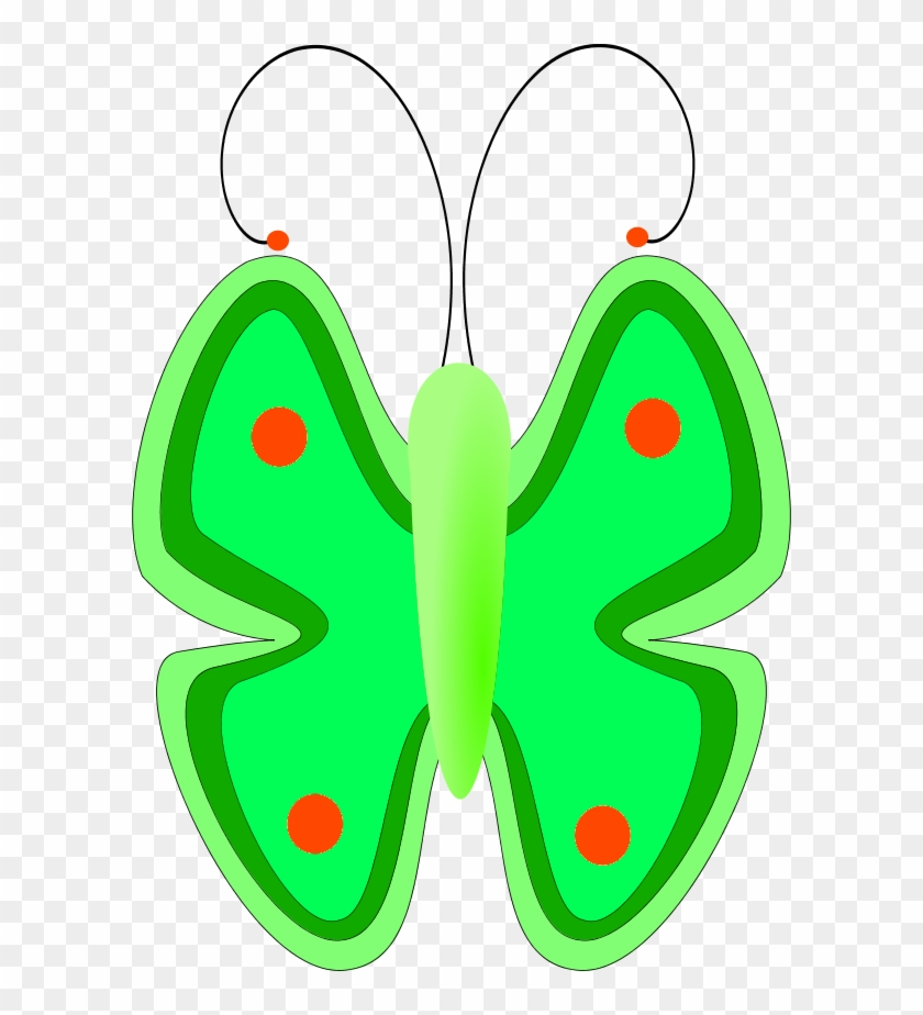 Butterfly Front View - فراشات كرتونيه #140499