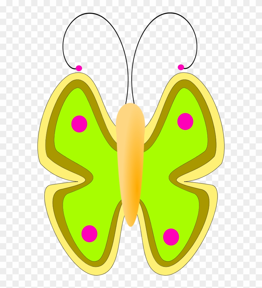Butterfly Front View - صورة فراشة كرتونية #140621