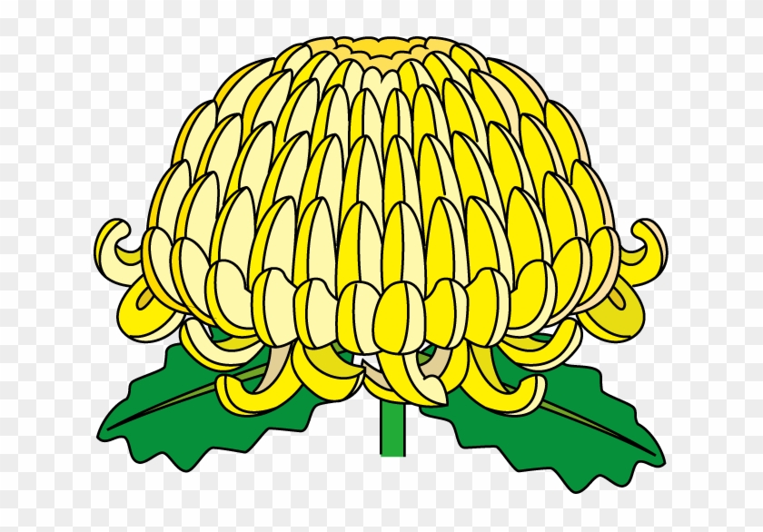 Chrysanthemum Clip Art - 菊 の 画像 イラスト #142173