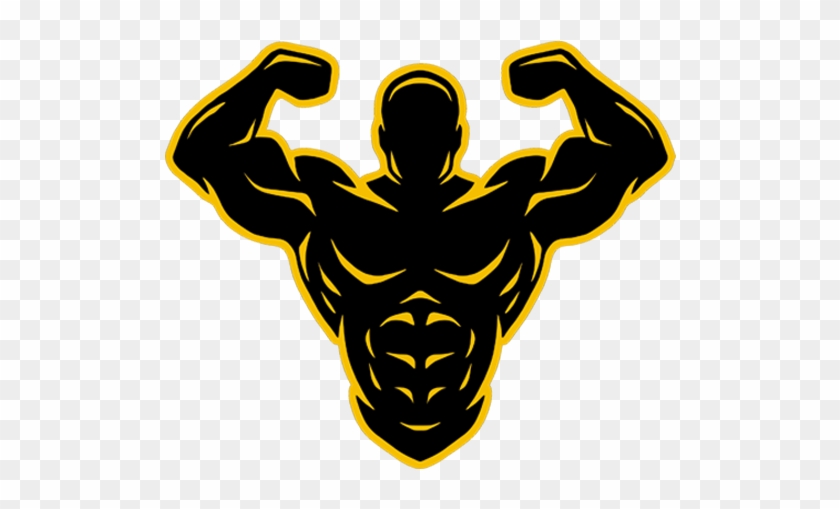 Gym Equipment - Gym #144820