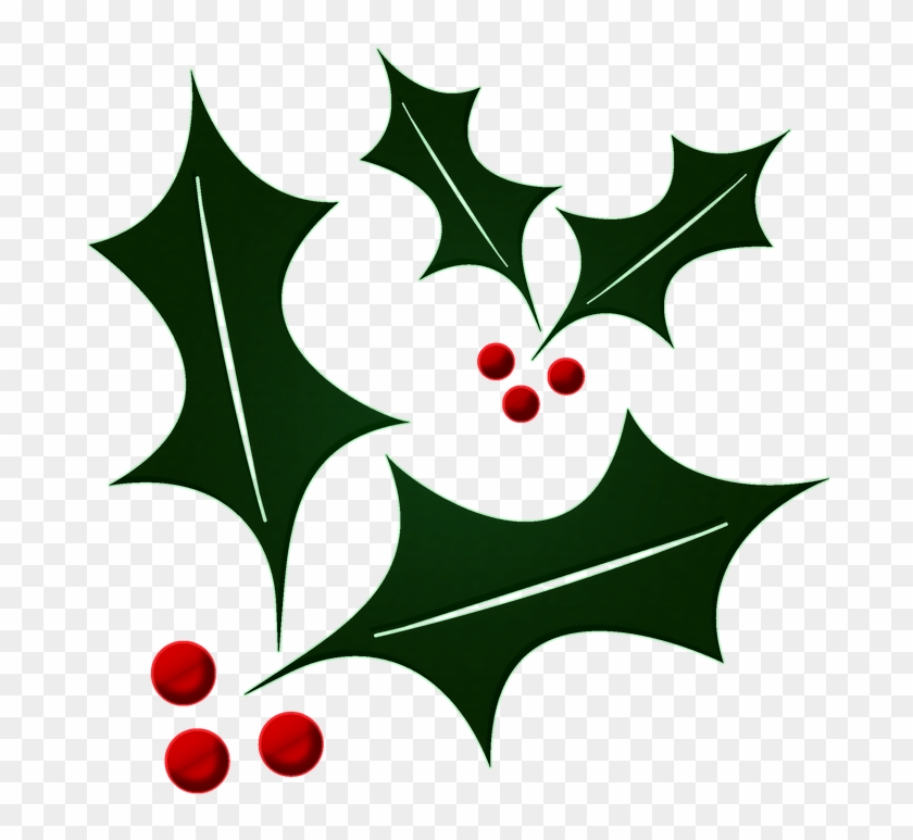 Ilex Cornuta #145714