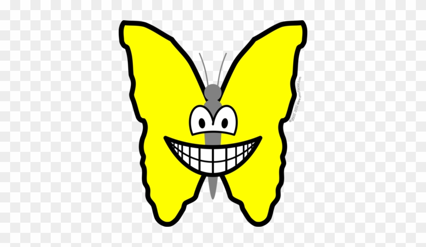 Butterfly Smile - Butterfly With A Smile #770019