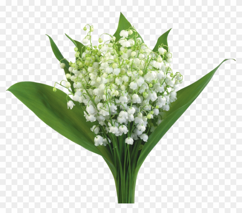 Png形式でダウンロード - Happy Mother's Day Card #771550