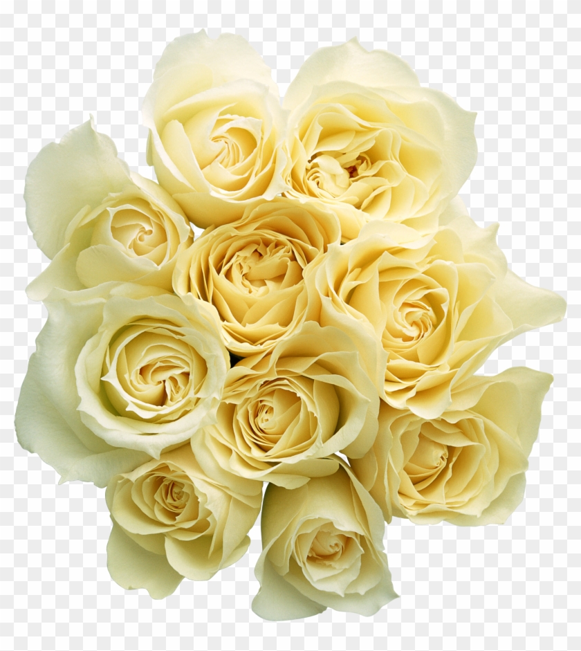 Png形式でダウンロード - Bouquet Yellow Roses Png #771731