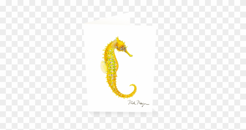Pacific Seahorse Iii - Pacific Seahorse #771739