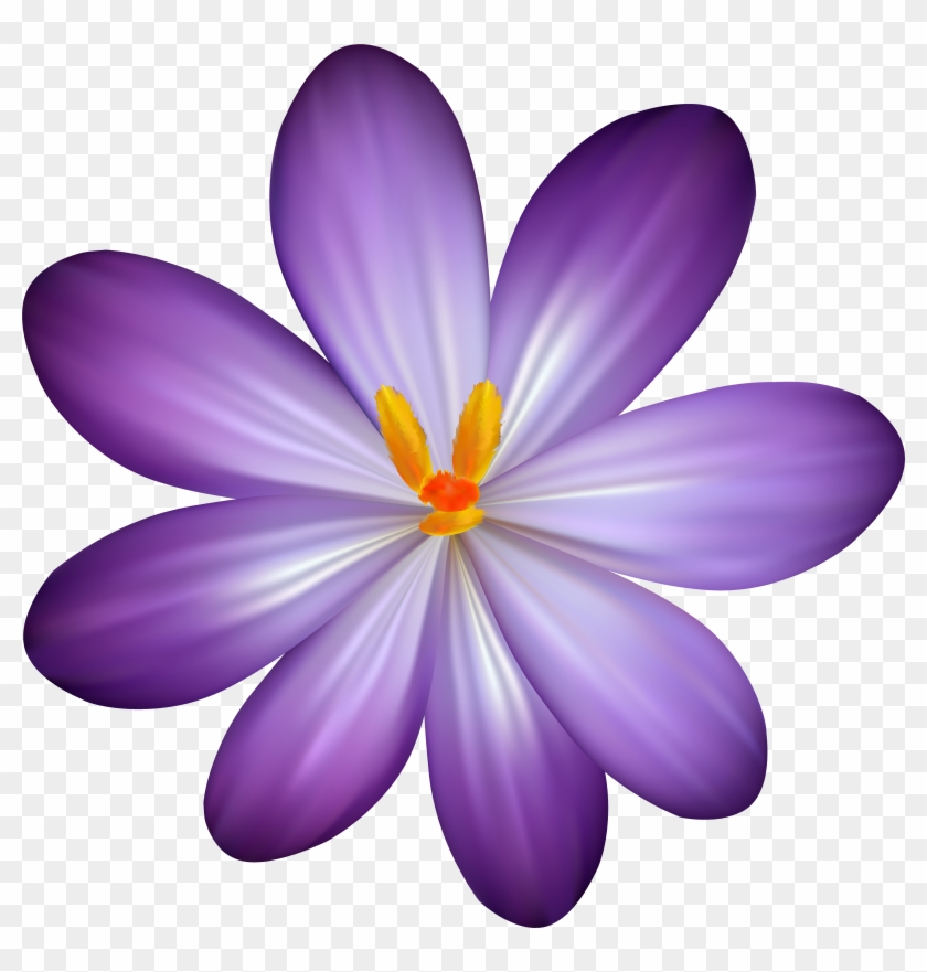 Flower Png Clipart - Flower Png Clipart #772079