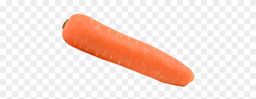 Carrot - Kindersay - Transparent Carrot #772782
