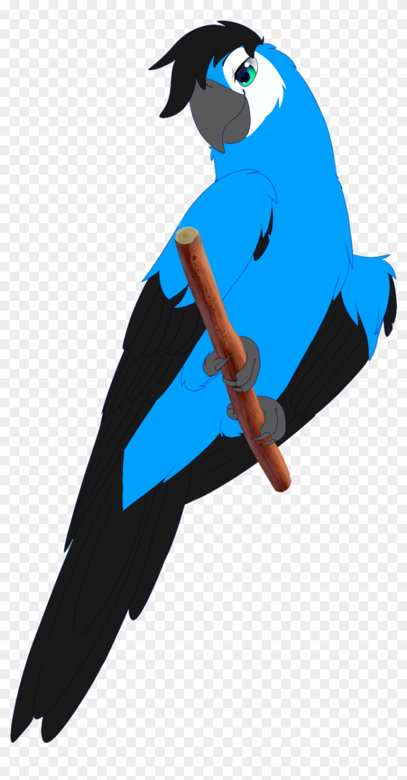 Spix Macaw By Rehquq - Spix Macaw #774360