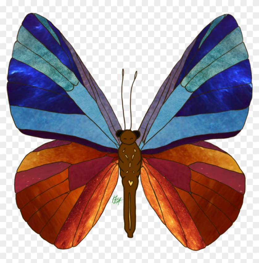 Textures Butterfly By L1ghttang3ll - Drawing #774617