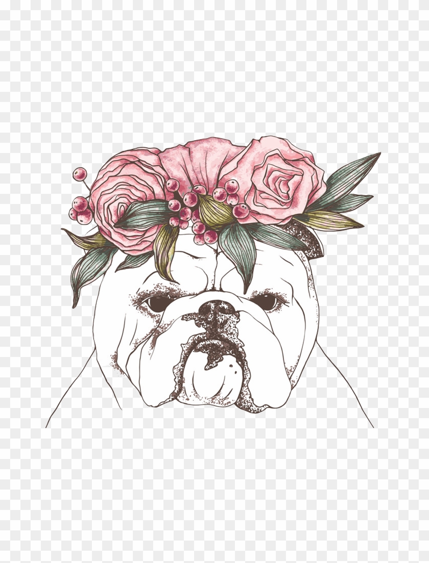 Bulldog Shar Pei Drawing Dog Breed Illustration - Bulldog Shar Pei Drawing Dog Breed Illustration #774886