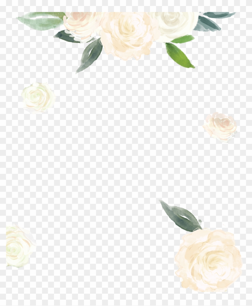 Scroll - Scroll #775580