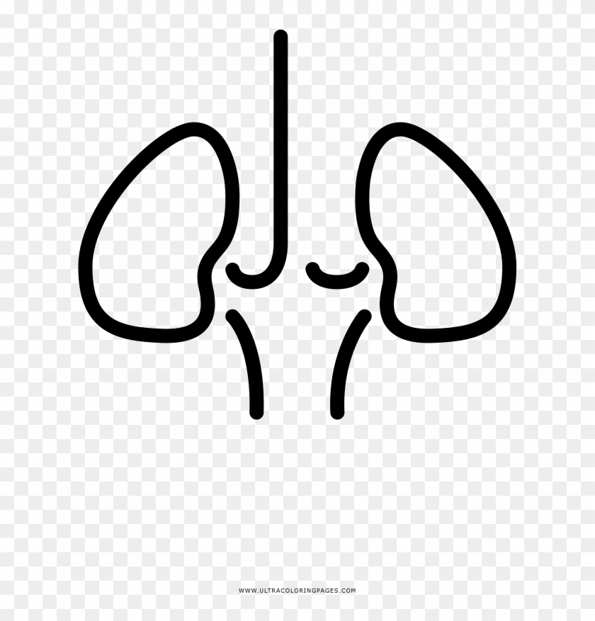 Lung Coloring Page - Line Art #775761