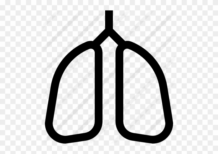 Lungs - Lungs #775783