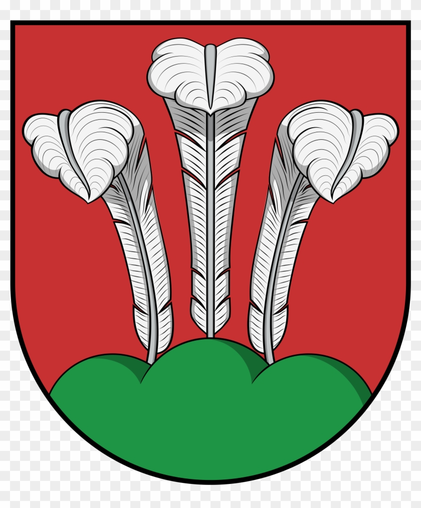 Open - Sarleinsbach #775930