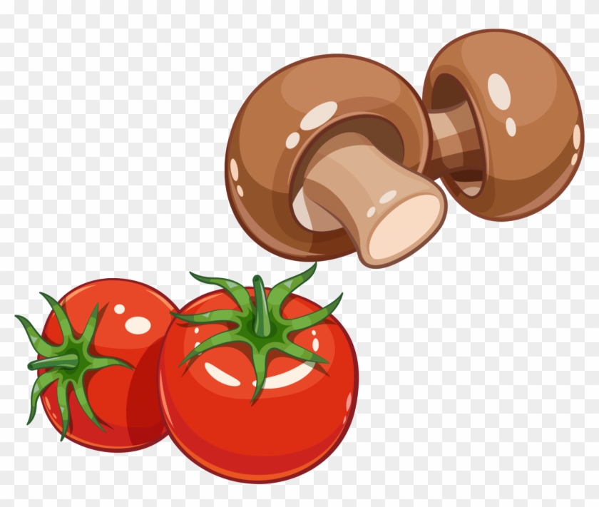 Euclidean Vector Mushroom Royalty-free Illustration - Mushroom Vector #776617